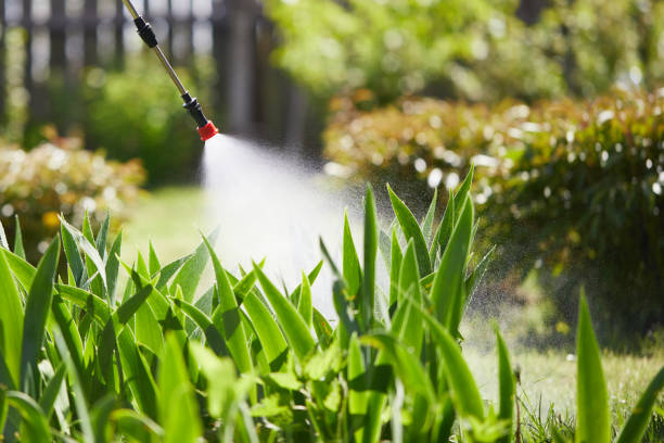 24/7 Emergency Wasp Removal experts in Richland, MO